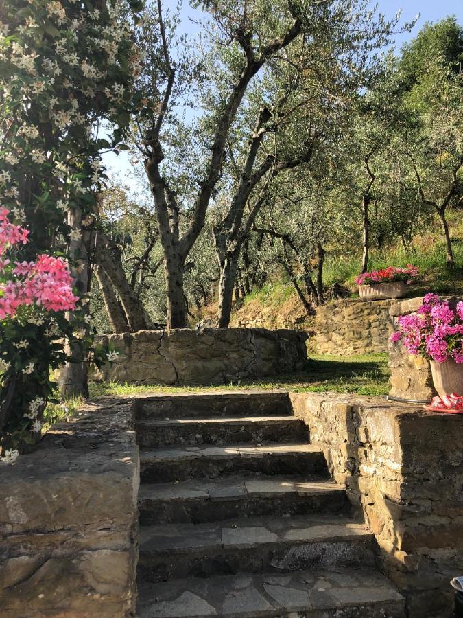 Agriturismo La Casella Castelfranco di Sopra Εξωτερικό φωτογραφία