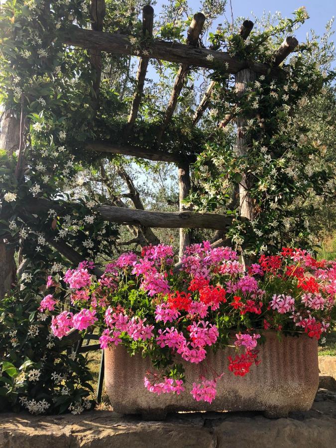Agriturismo La Casella Castelfranco di Sopra Εξωτερικό φωτογραφία